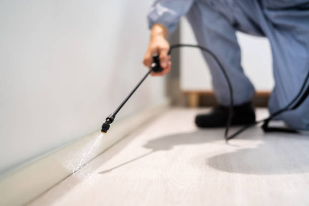 Licensed Rodent Control service in Butte County County, CA - Nex Pest Control
