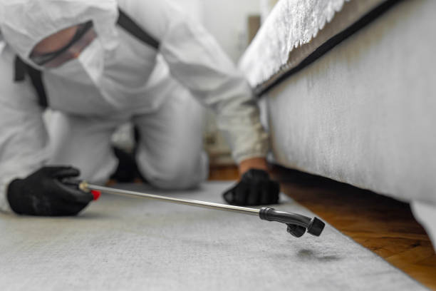 Professional Rodent Control technician working in Butte County County, CA
